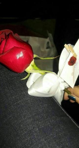 عکس گل فیک برای پروفایل