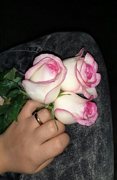 عکس گل فیک برای پروفایل