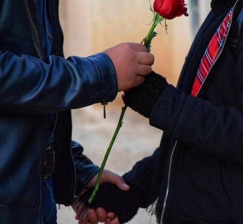 عکس گل فیک برای پروفایل