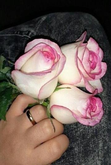 عکس گل فیک برای پروفایل