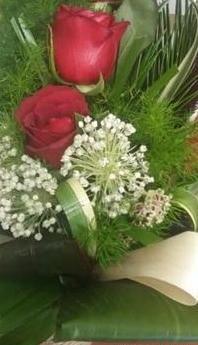 عکس گل هدیه برای پروفایل