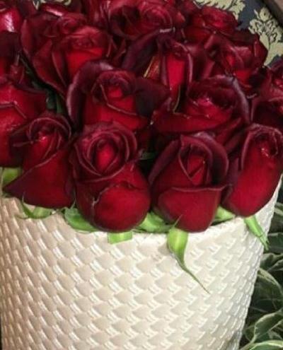 عکس گل هدیه برای پروفایل