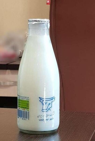 عکس گاو روی شیر
