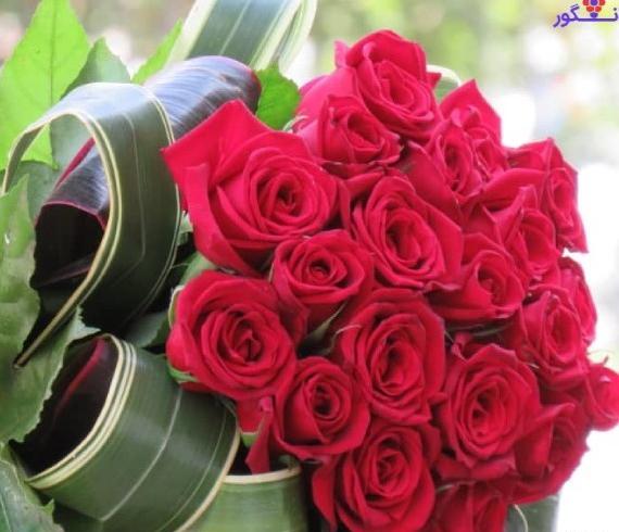 عکس گل برای پروفایل شاد عروسی