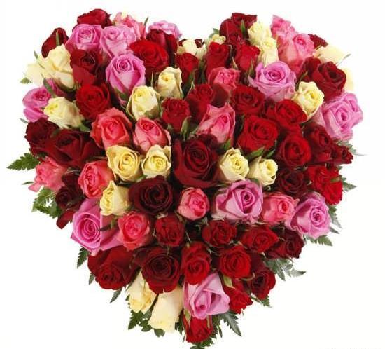 یه عکس گل برای پروفایل
