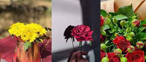دانلود عکس گل برای پروفایل روبیکا