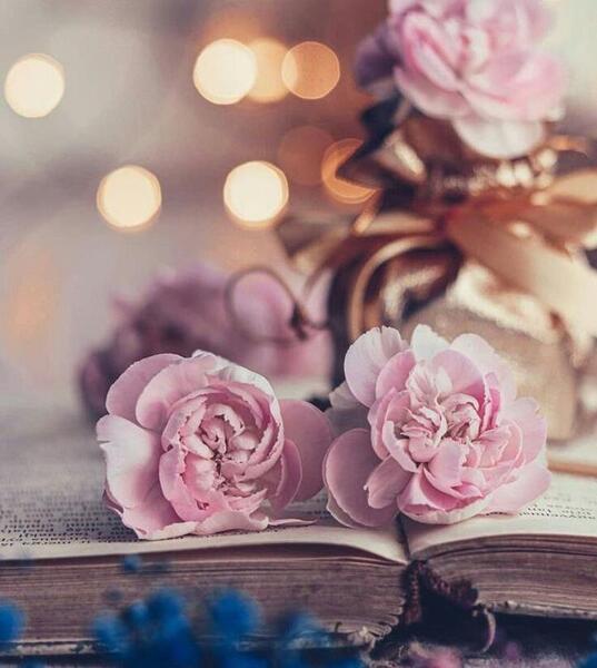 دانلود عکس گل برای پروفایل روبیکا