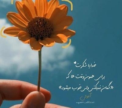 عکس گل برای پروفایل ایتا