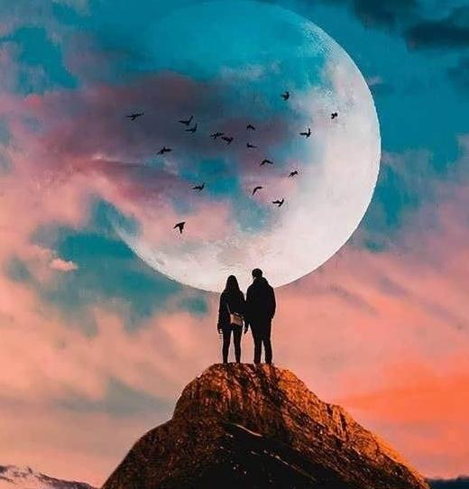 عکس گل برای پروفایل ایتا