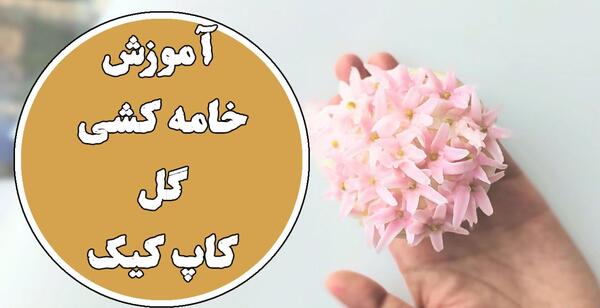 دانلود عکس تویوتا خرگوشی