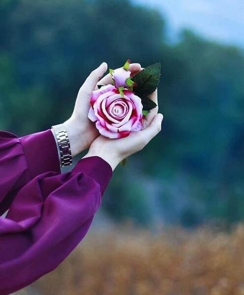 عکس گل برای پروفایل واتساپ دخترانه
