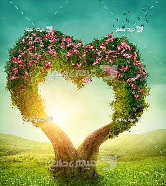 عکس گل قلب برای پروفایل