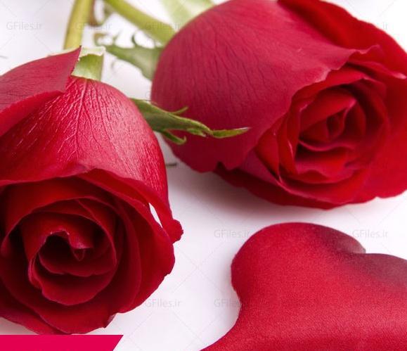 عکس گل قلب برای پروفایل