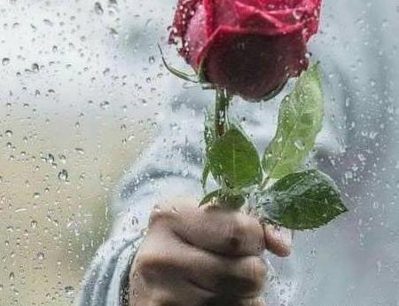 عکس چیدن گل برای پروفایل