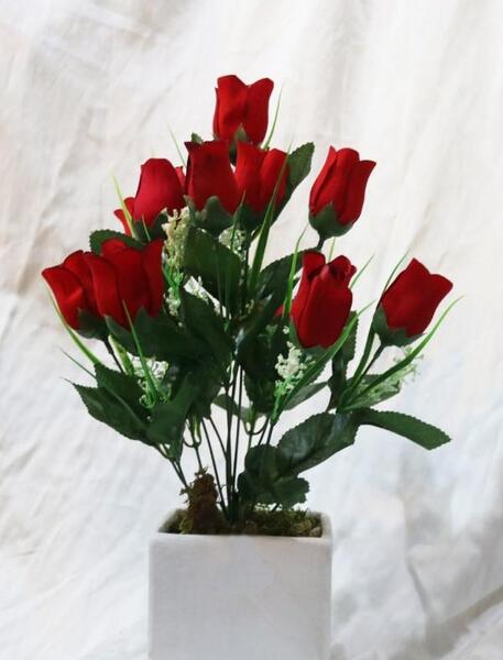 عکس گل غنچه برای پروفایل