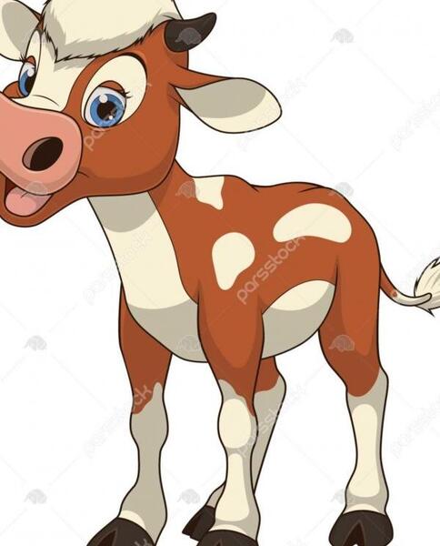 عکس گاو کارتونی ساده