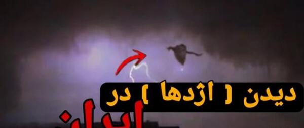 عکس واقعی اژدها در تهران