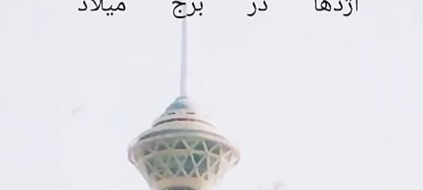 عکس واقعی اژدها در تهران