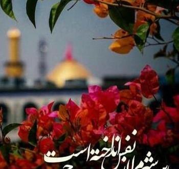 عکس گل برای محرم پروفایل