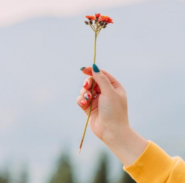 عکس گل برای پروفایل در دست دختر