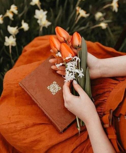 عکس گل برای پروفایل در دست دختر