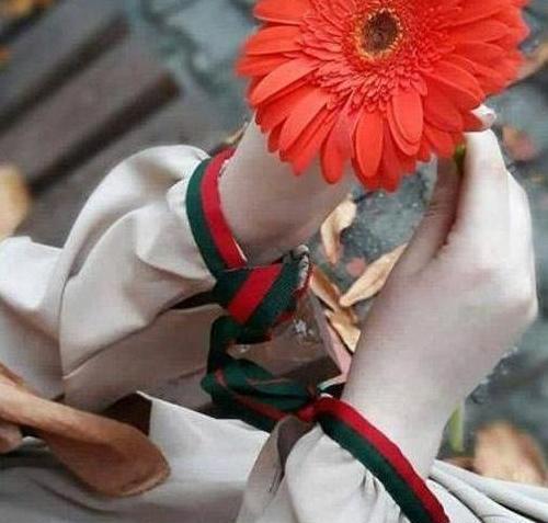 عکس گل برای پروفایل در دست دختر