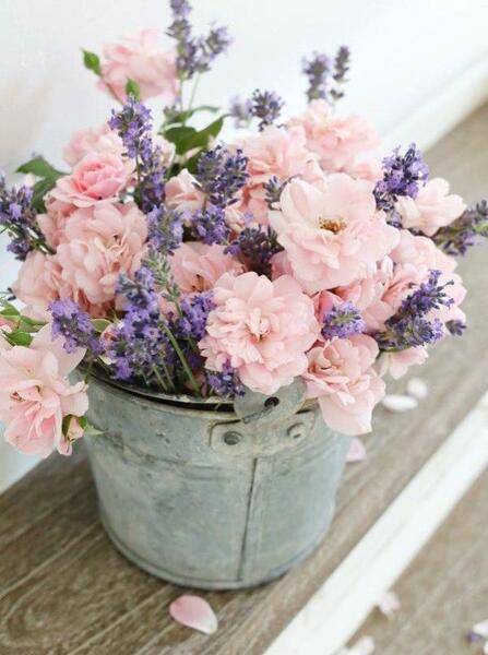 عکس گل زیبا برای پروفایل روبیکا