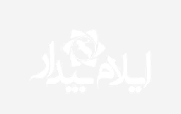 یک عکس از حرم امام رضا