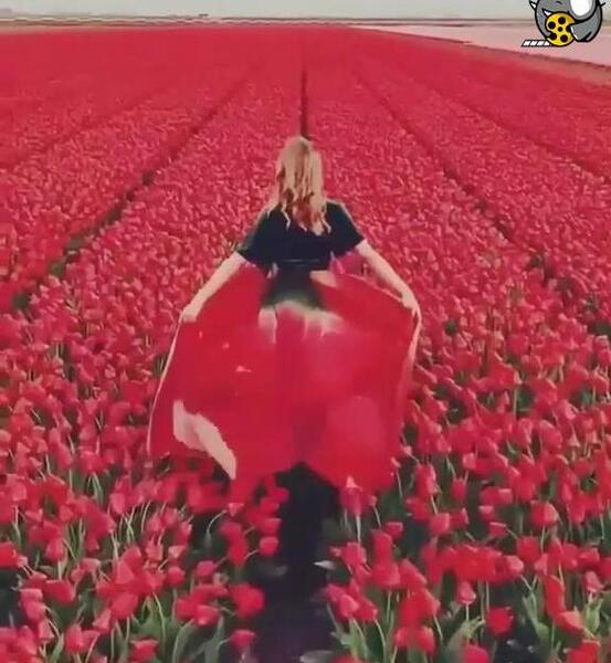 گل فانتزی عکس طبیعت برای پروفایل