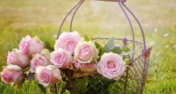 گل فانتزی عکس طبیعت برای پروفایل