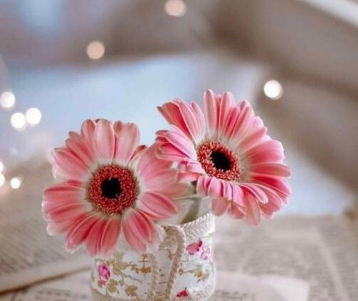 گل فانتزی عکس طبیعت برای پروفایل