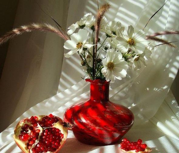 عاشقانه عکس گل برای پروفایل واتساپ