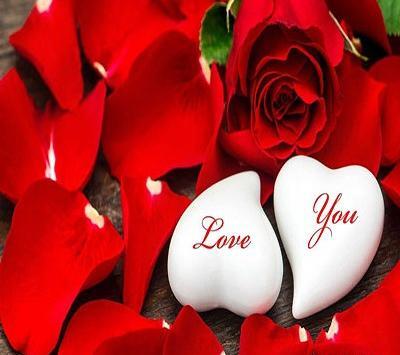 عاشقانه عکس گل برای پروفایل واتساپ