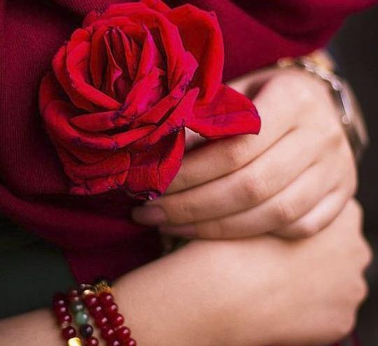 عاشقانه عکس گل برای پروفایل واتساپ