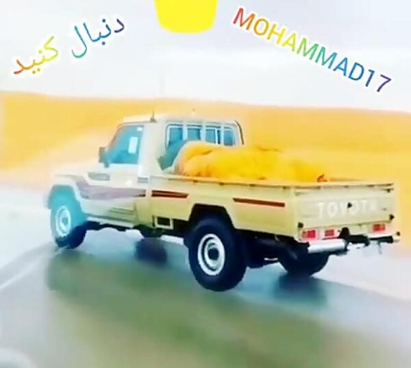 عکس ماشین تویوتا خرگوشی