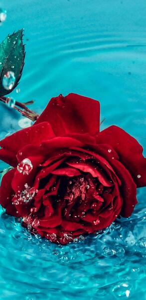 عکس تصویر زمینه گوشی دخترانه زیبا