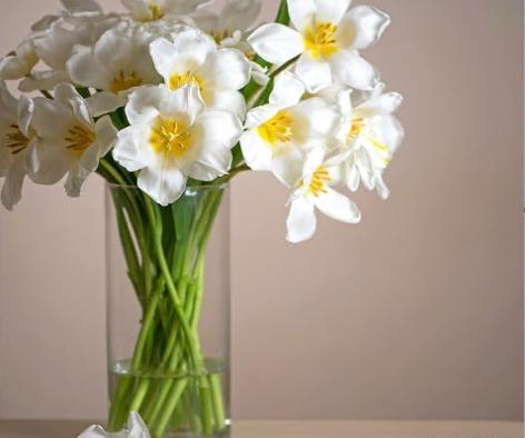 عکس گل برای پروفایل گوشی