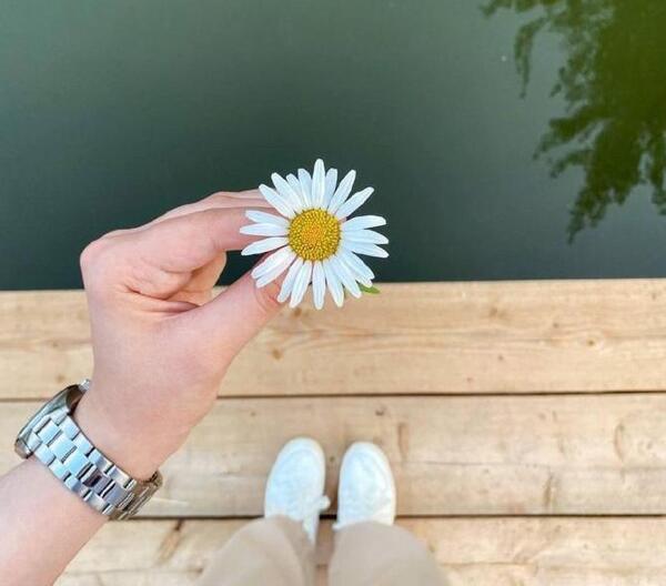 عکس گل ساده پروفایل