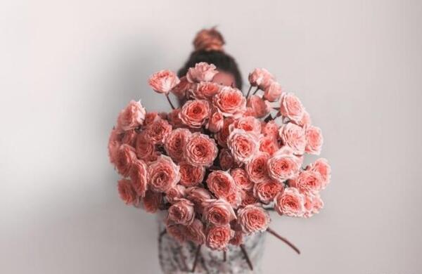 عکس گل ساده پروفایل