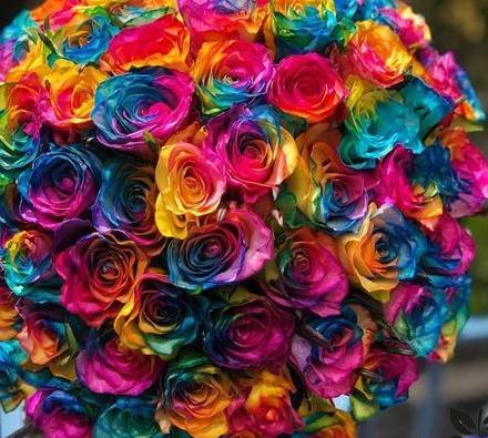 عکس گل هفت رنگ برای پروفایل