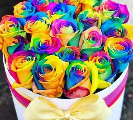 عکس گل هفت رنگ برای پروفایل