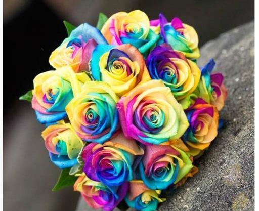 عکس گل هفت رنگ برای پروفایل