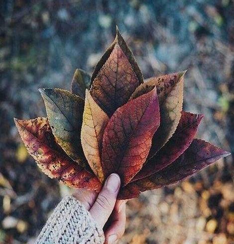 عکس پروفایل دخترونه خاص برای تلگرام
