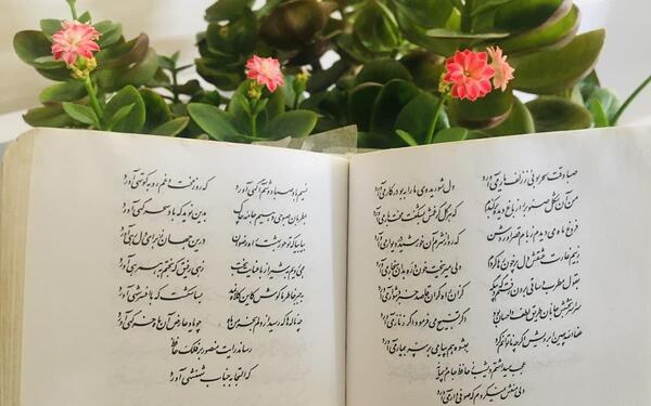 عکس نیسان آبی لاتی