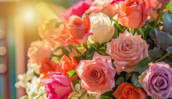 عکس گل زیبا برای پروفایل شاد