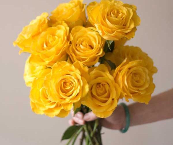 عکس گل رز برای پروفایل شاد