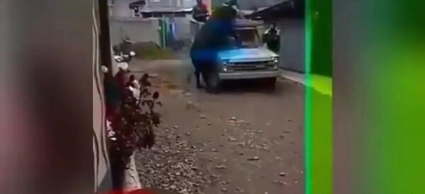 عکس نیسان گاو