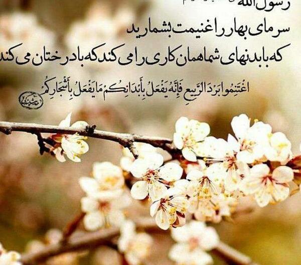 عکس نیسان لات