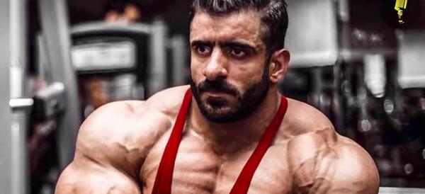عکس هادی چوپان گرگ ایرانی