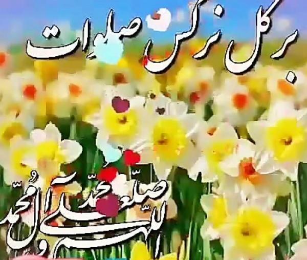عکس گل با صلوات برای پروفایل